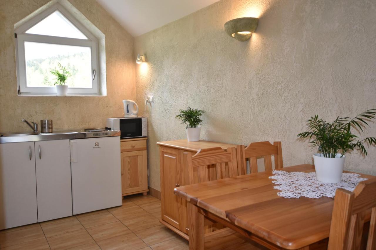 Apartamenty Czyrna Przy Gondoli Щирк Екстер'єр фото